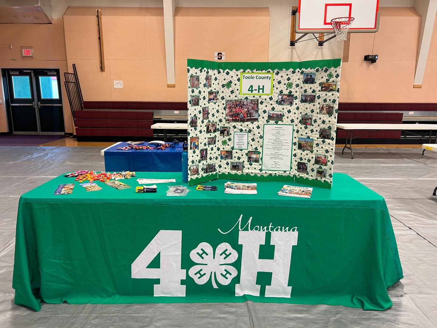 MSU Extension Toole County Booth at the Activity Fair